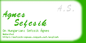 agnes sefcsik business card